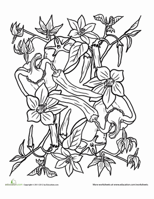 Fruits and Veggies Mandala #4