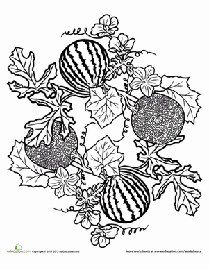 Fruits and Veggies Mandala #5