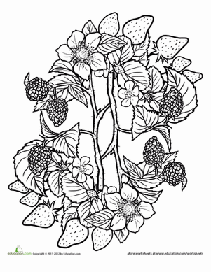 Fruits and Veggies Mandala #10