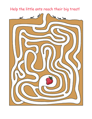 Ant Maze