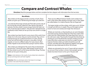 比较和对比的鲸鱼