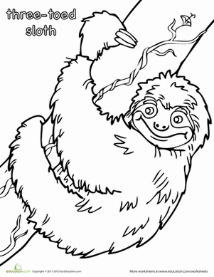 Three-Toed Sloth Coloring Page