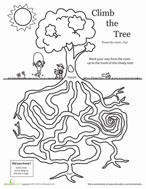 Amazing Tree Maze