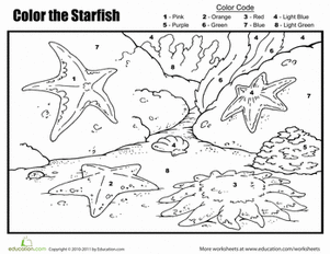 Color by Number: The Starfish