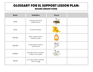 Glossary: Buzzing Sensory Poems