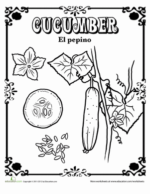 Cucumber in Spanish