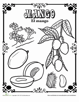 Mango in Spanish