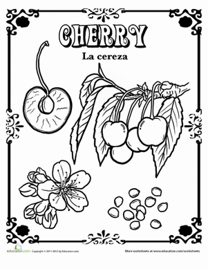 Cherry in Spanish