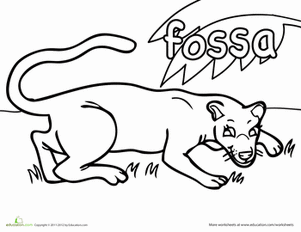Color the Fossa!