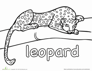 Leopard Coloring Page