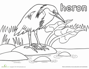 Heron Coloring Page