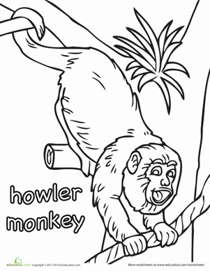 Howler Monkey Coloring Page