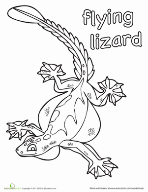 Color the Flying Lizard