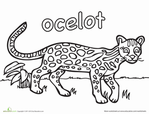 Ocelot Coloring Page