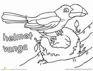 Color the Helmet Vanga