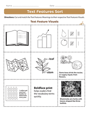 Text Features Sort
