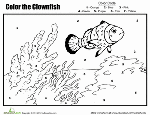 Color by Number: The Clownfish