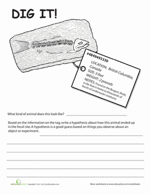 Fossils Worksheets: Dig It! #2