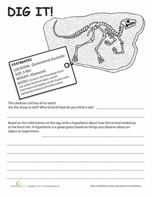 Fossil Lesson | Dig It! #5