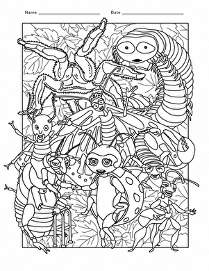 Bug Coloring Page