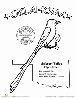 Oklahoma State Bird