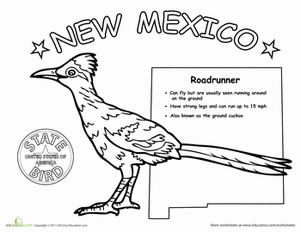 New Mexico State Bird