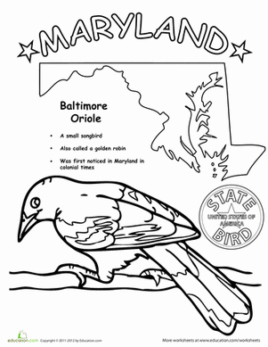 Maryland State Bird