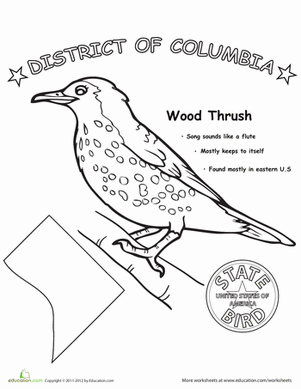  Washington D.C. State Bird