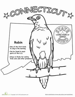 Connecticut State Bird
