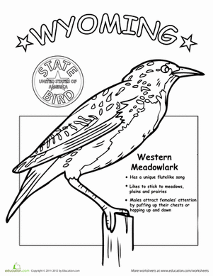 Wyoming State Bird