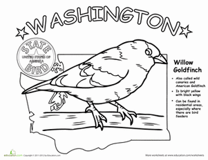Washington State Bird
