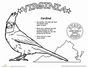 Virginia State Bird