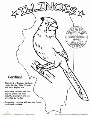 Illinois State Bird