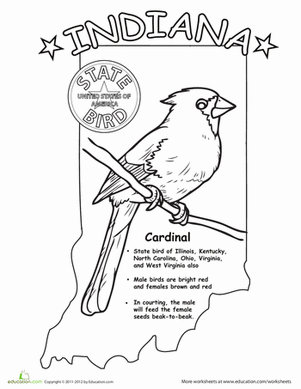 Indiana State Bird