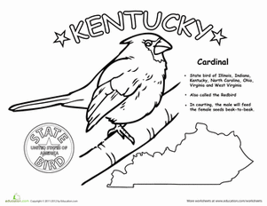 Kentucky State Bird
