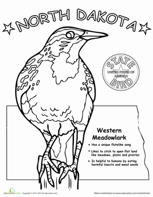 North Dakota State Bird