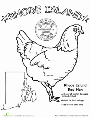 Rhode Island State Bird