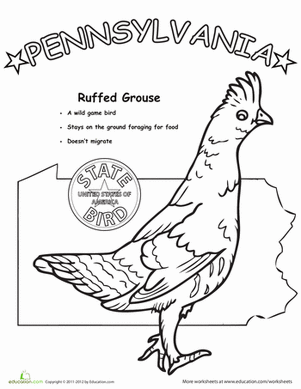 Pennsylvania State Bird