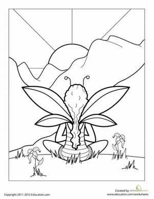 Color the Sunrise Fairy