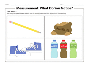 Measurement: What Do You Notice?