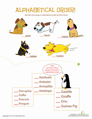 Animal Alphabetical Order