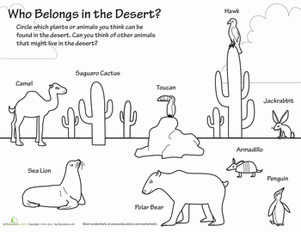 Who Belongs in the Desert?