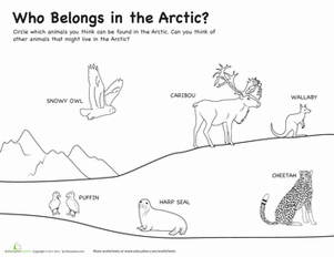 Who Belongs in the Arctic?