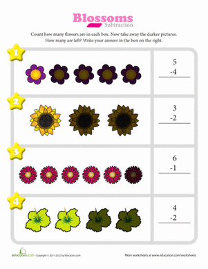 Blossoms Subtraction 