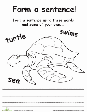 Sea Turtle Sentences