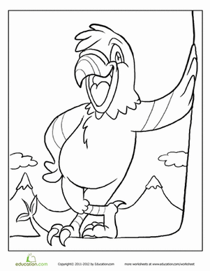 Pretty Parrot Coloring
