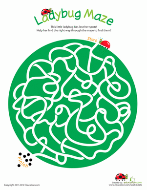 Lovey Ladybug Maze