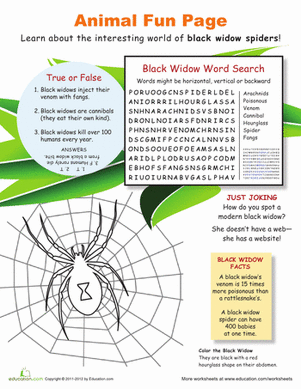 All About Black Widows!