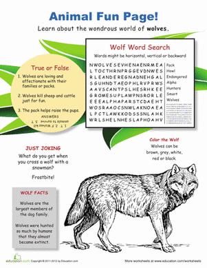 Wild World of Wolves