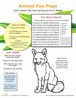 Fun with Fantastic Foxes